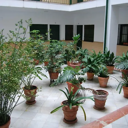 El Rincon De Aurora Appartement Sevilla Buitenkant foto